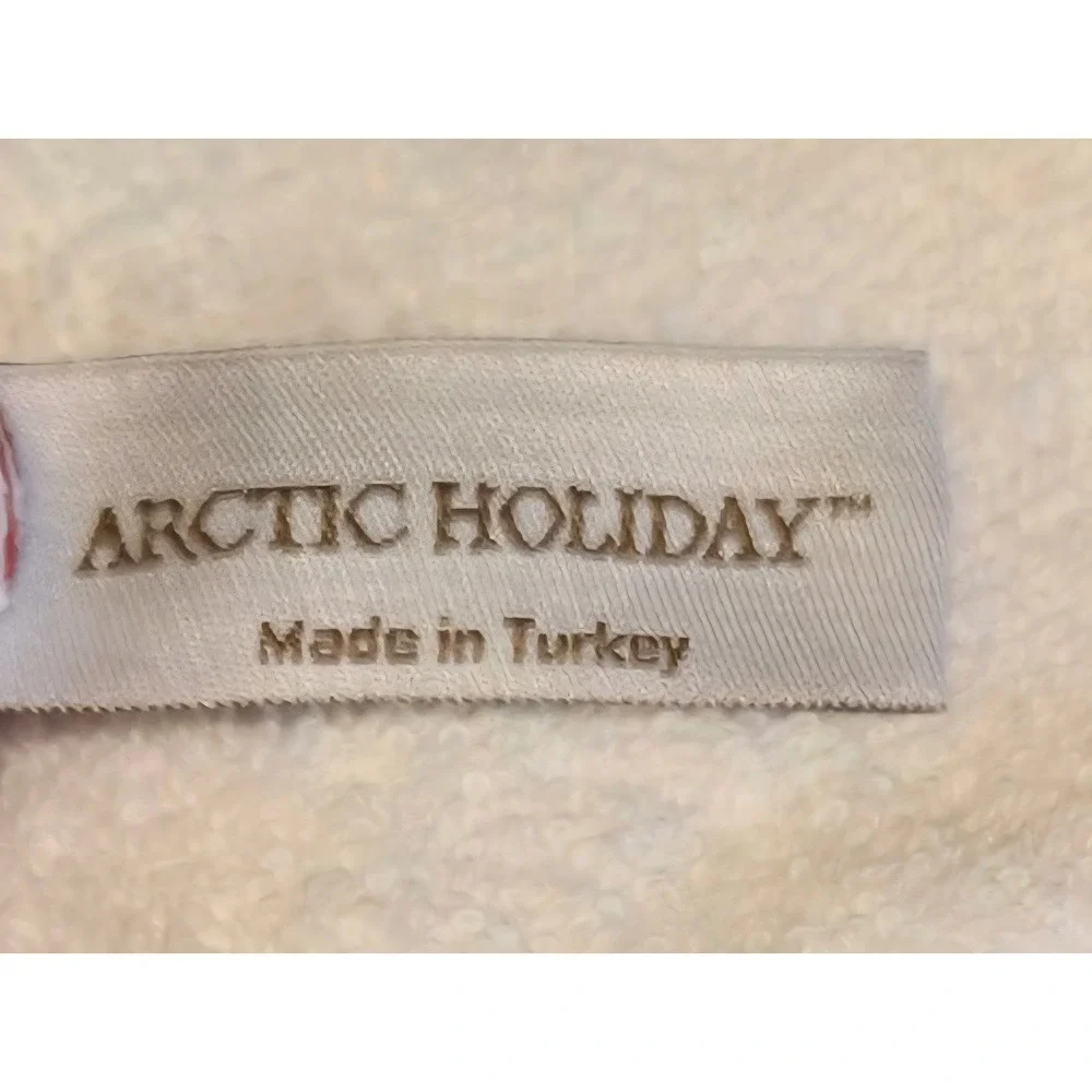 Arctic Holiday 